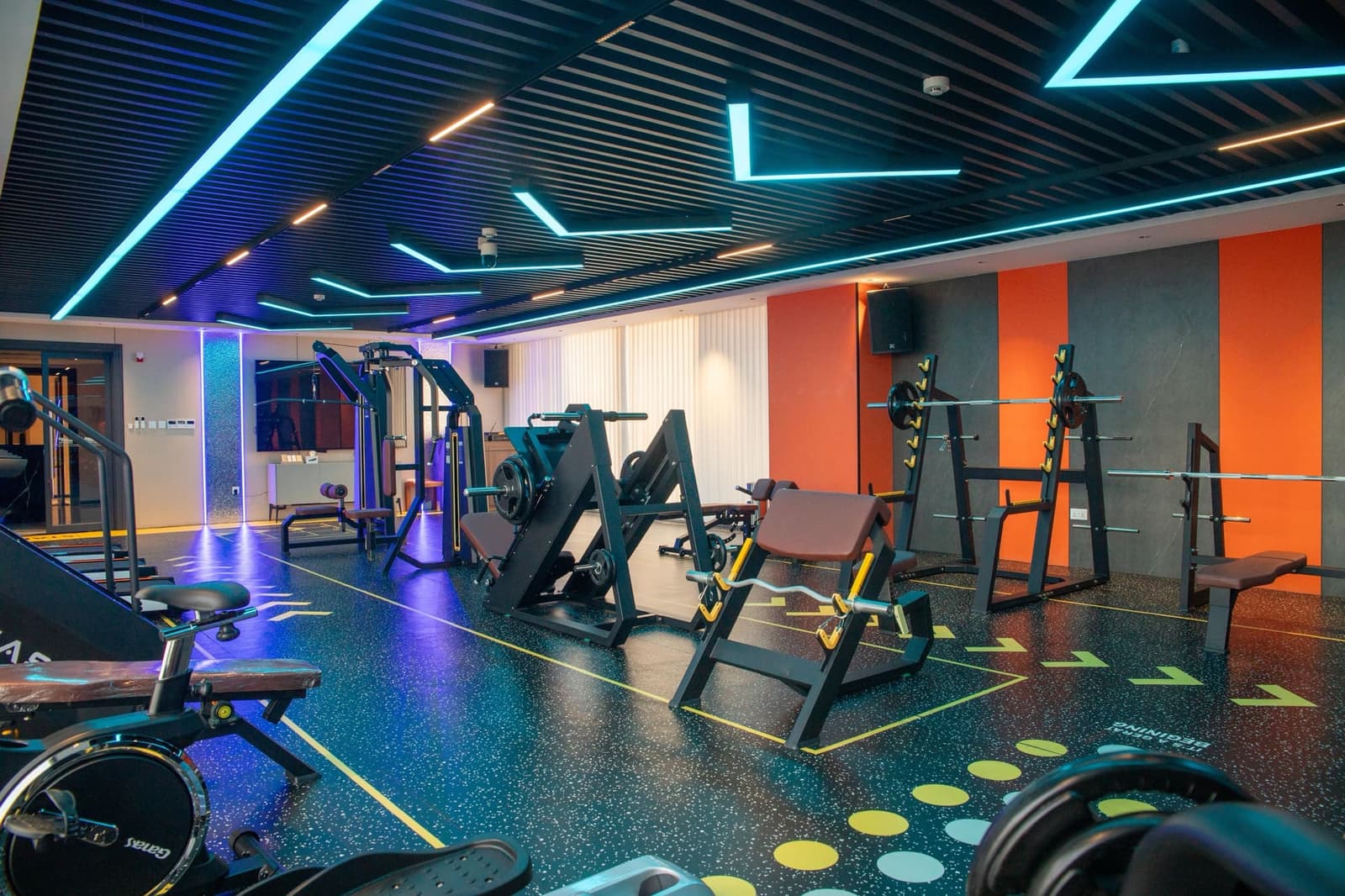 The Grid Gym